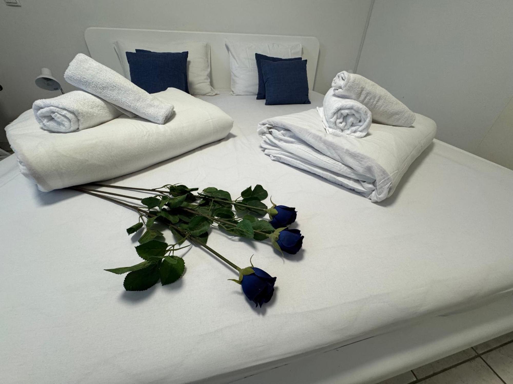 Anabella Apartment Izola Bagian luar foto